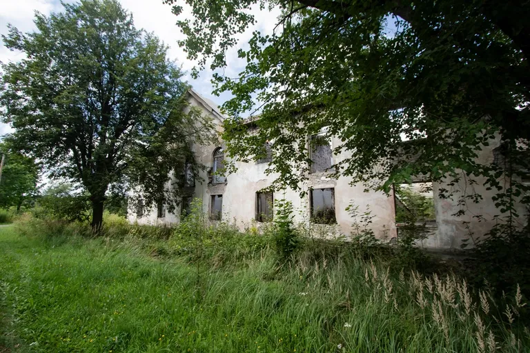 Viivikonna
