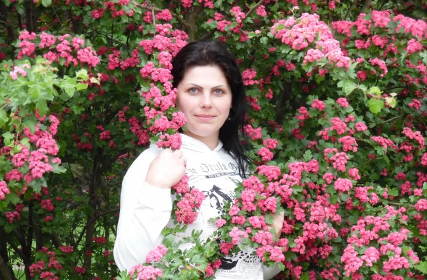 Raksta foto