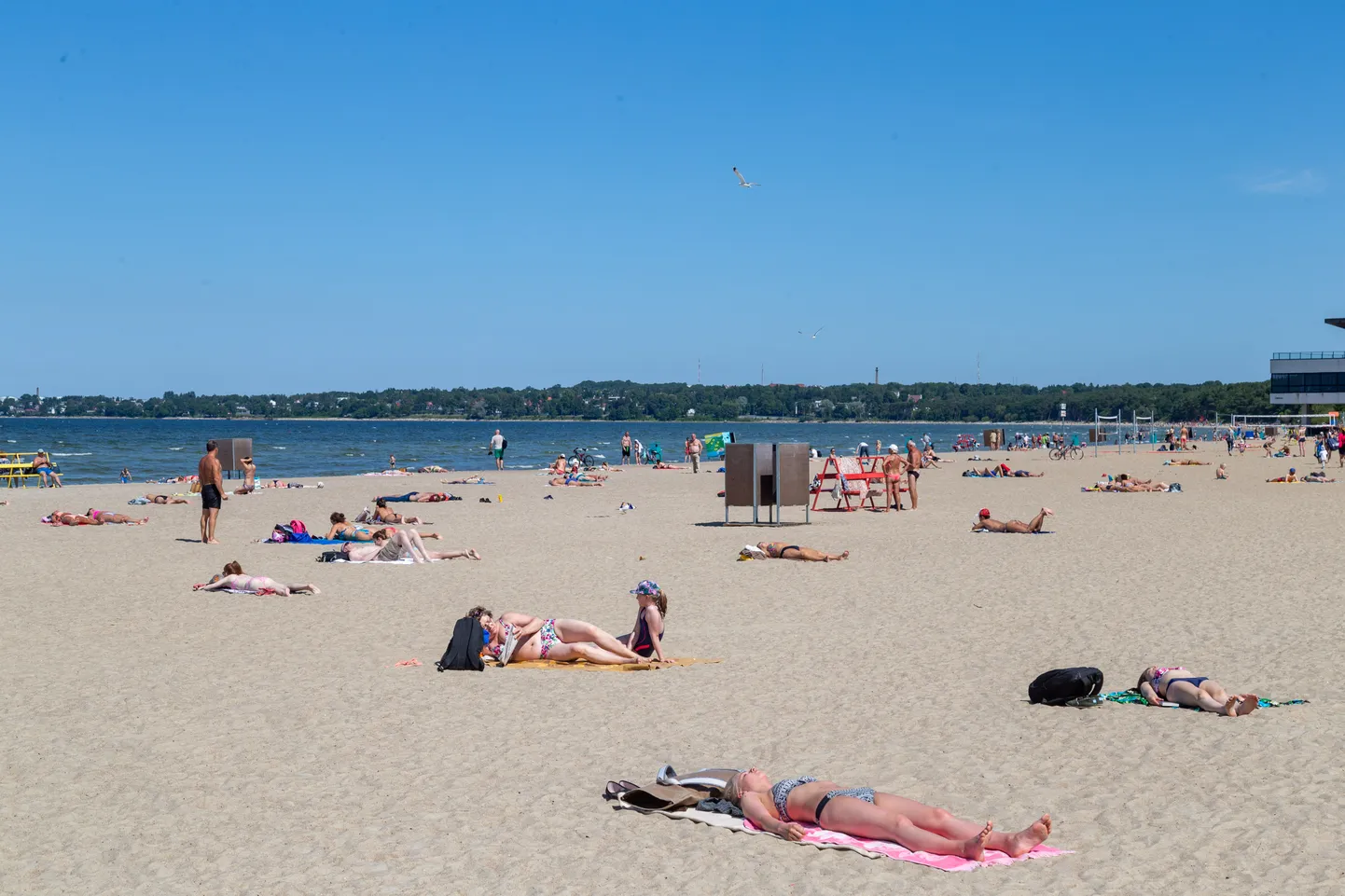 Pirita ranna suvitajad.