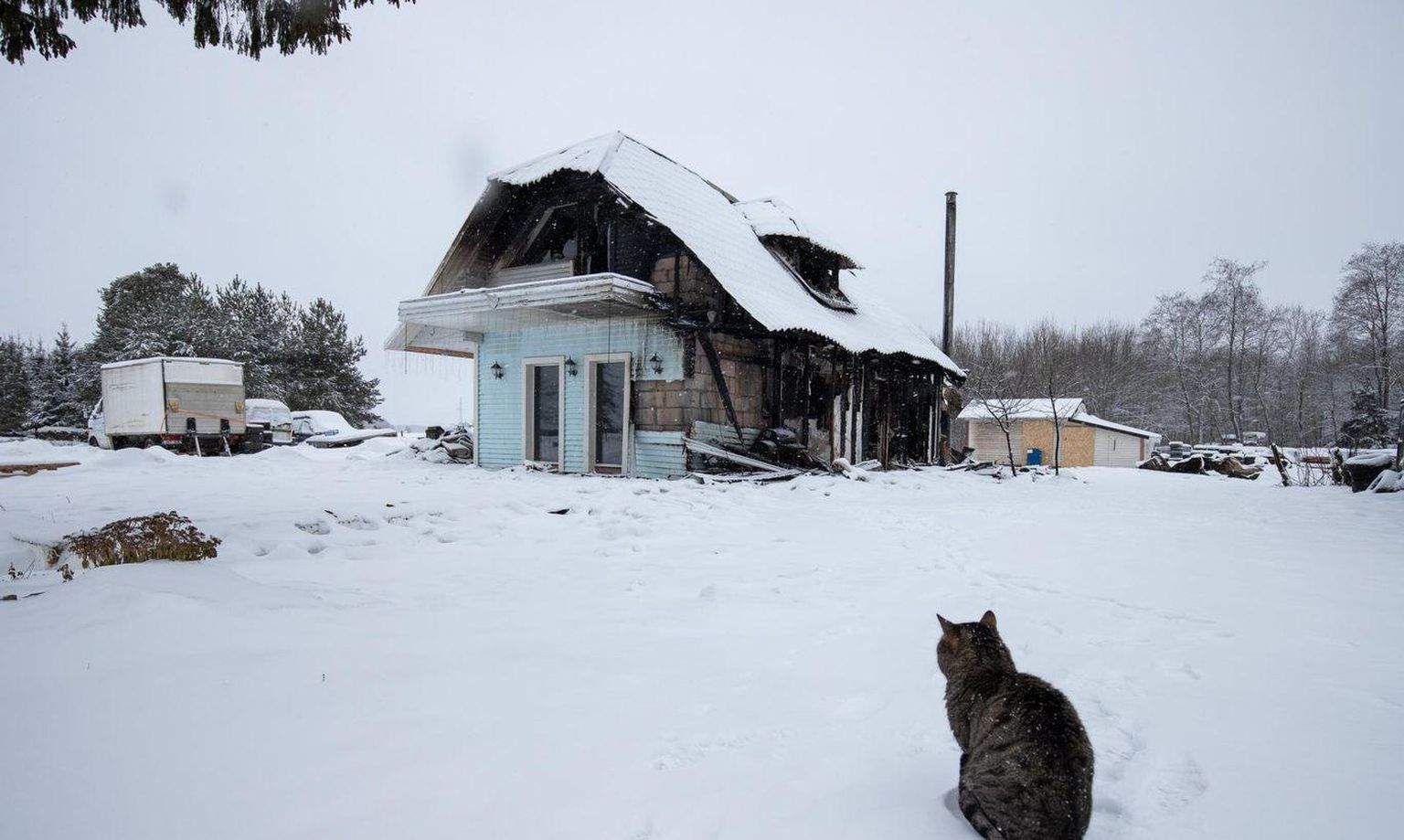 Päev enne aastavahetust kaotas pere Põdrusel oma kodu. Kass Suslik silmitses pärast põlengut kurvalt ahervaremeid.