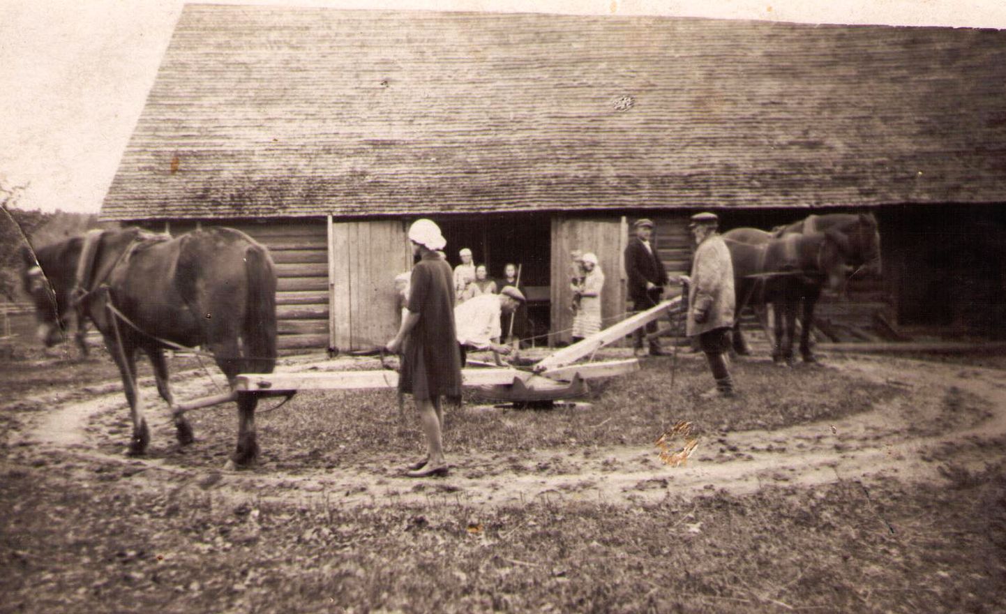Kroonilised toimetulekuraskused kuulusid lahutamatult Eesti talurahva elu juurde. Pildil talunikud vilja peksmas.