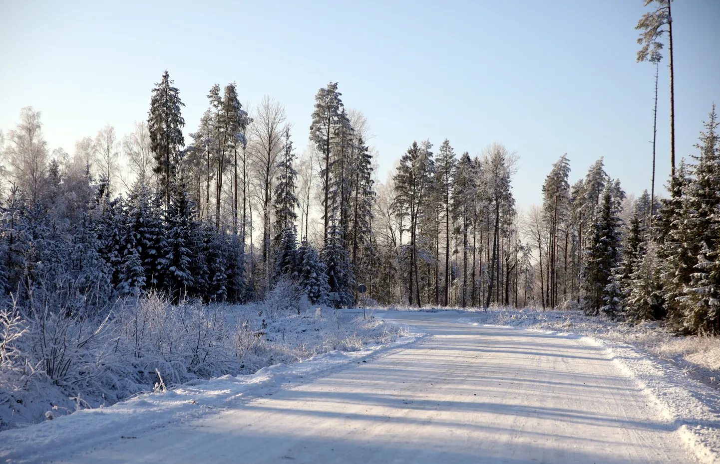 Проселочная дорога зимой