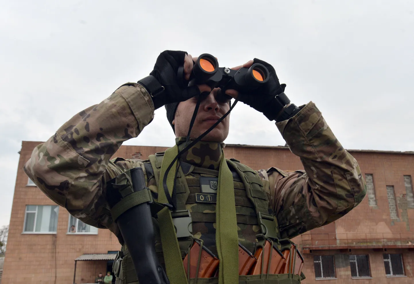 Ukraina vabatahtlik
