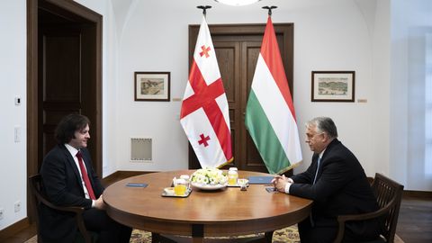 Ungari soovitab EL-il Gruusia välisagentide seadusest hoopis eeskuju võtta