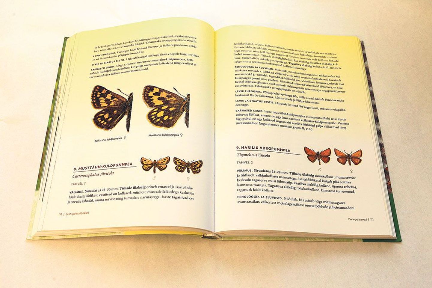 Kaks kolmandikku raamatust «Eesti päevaliblikad» hõlmavad leheküljed, mille abil on võimalik määrata Eesti 113 päevaliblika liiki. Leheküljel 110 on musttähn-kuldpunnpea täielik ning kollatähn-kuldpunnpea ja hariliku viirgpunnpea kirjeldus.