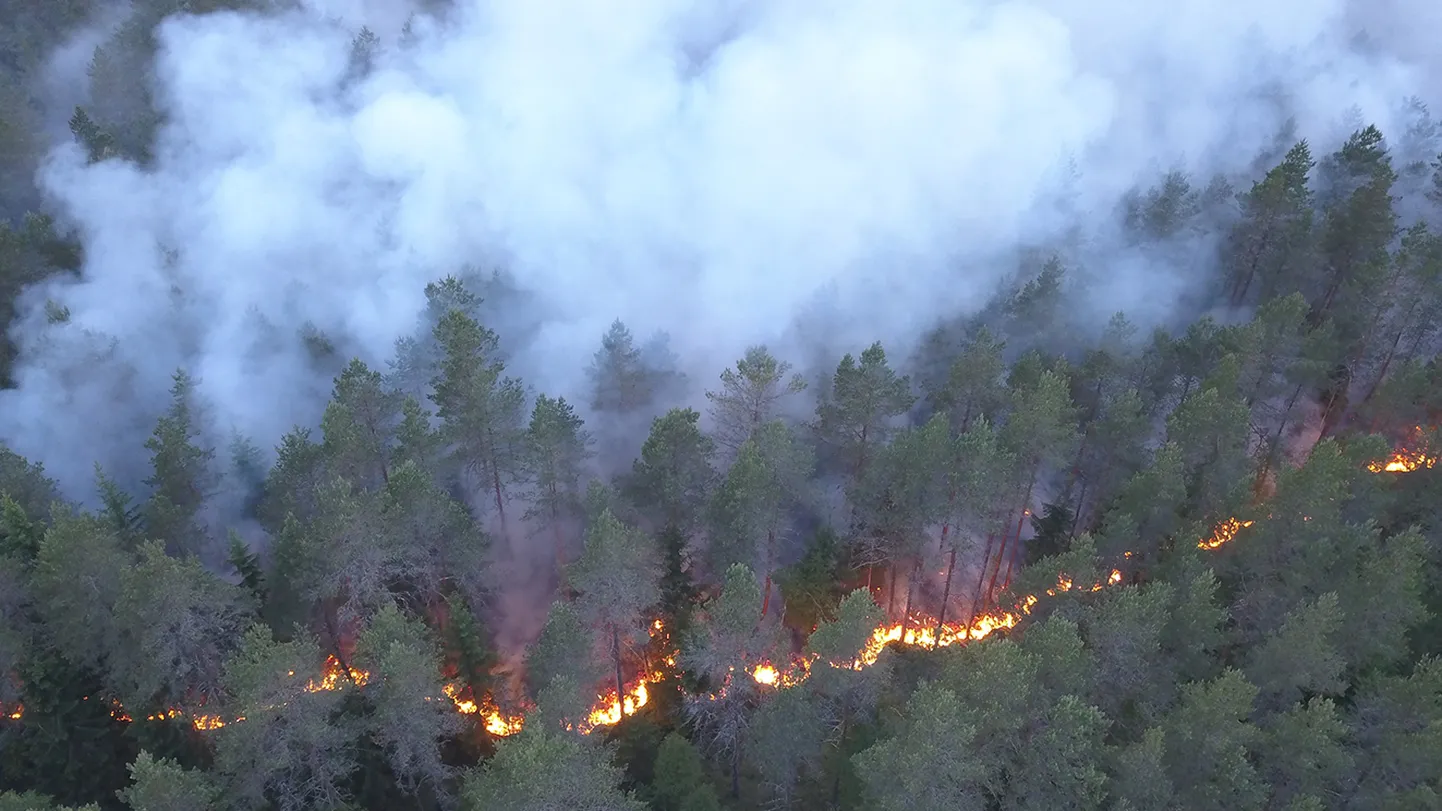 Järvamaa päästjatele, nii kutselistele kui ka vabatahtlikele, jätkus nädalavahetusel kustutustööd Järvamaal ja väljaspool maakondagi, näiteks Aegviidu kandis.