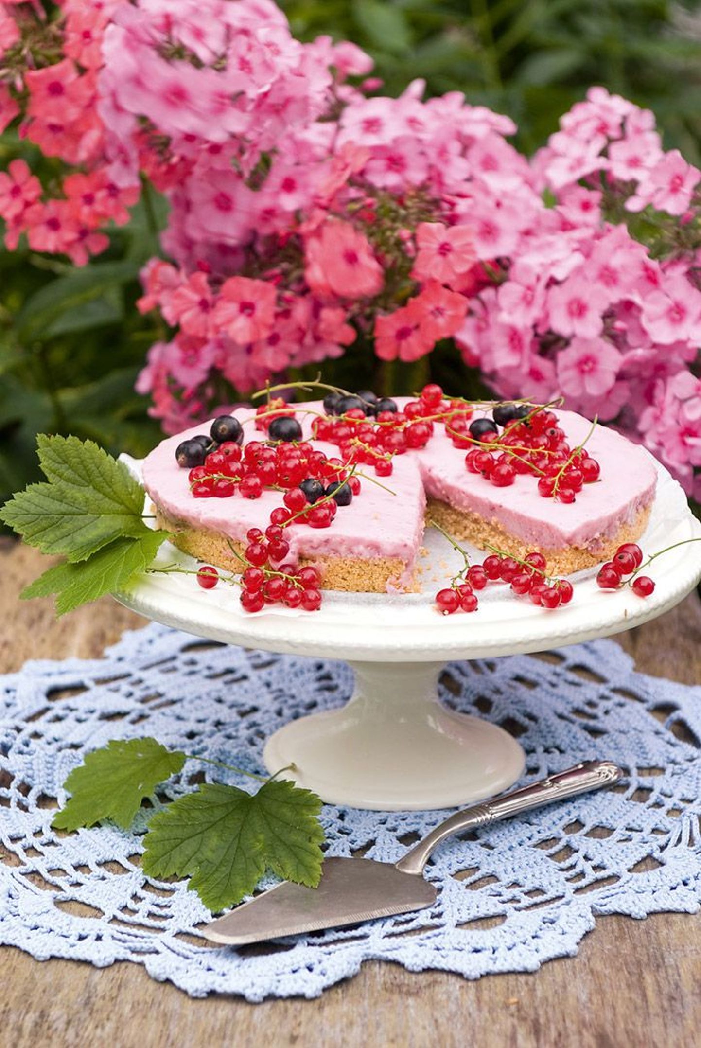 Аппетитный ягодный торт приготовлен из обычного печенья, йогурта и молочных конфет «Коровка».