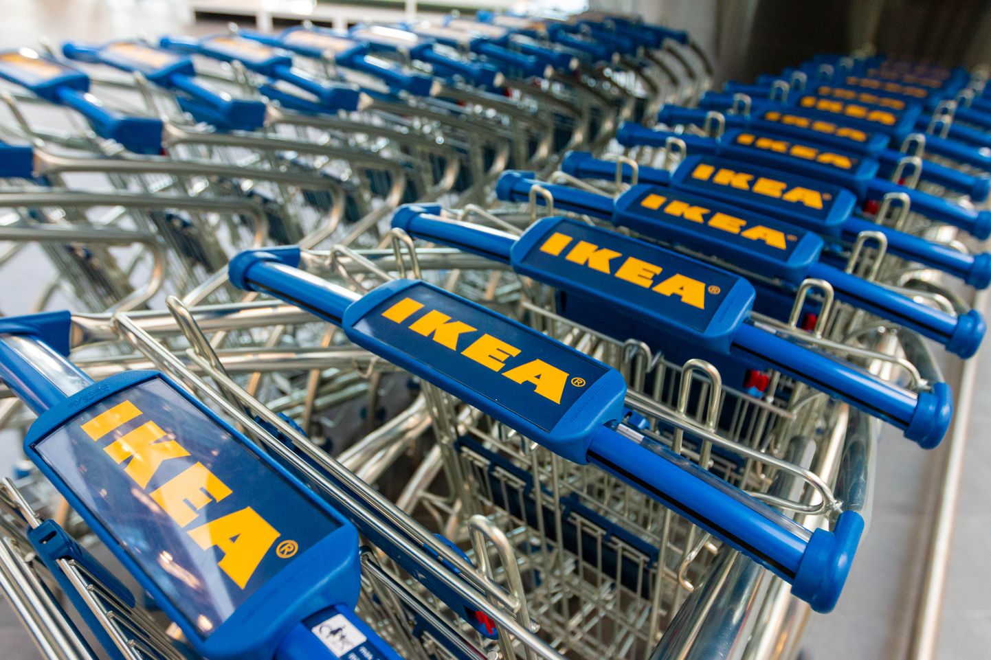 Riia, Läti 30AUG18

Ikea avas Lätis Riia linnas Baltikumi teise poe, mille kogupind on 34500 ruutmeetrit.

Ostukäru

Foto: Arvo Meeks / Lõuna-Eesti Postimees