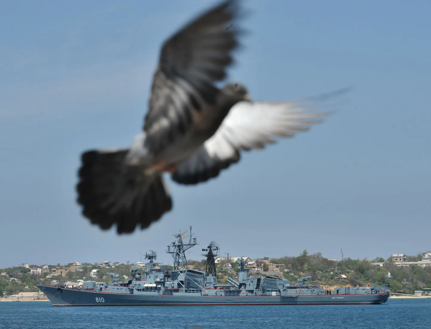 Sevastoopol.