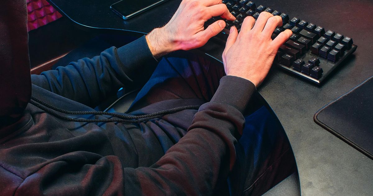 ETTEVAATUST ⟩ Petturid saadavad LHV nimel õngitsuskirju