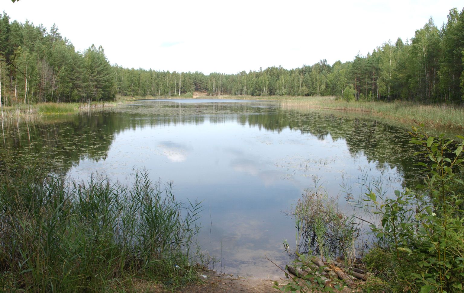 Kurtna maastikukaitseala, Martiska järv.