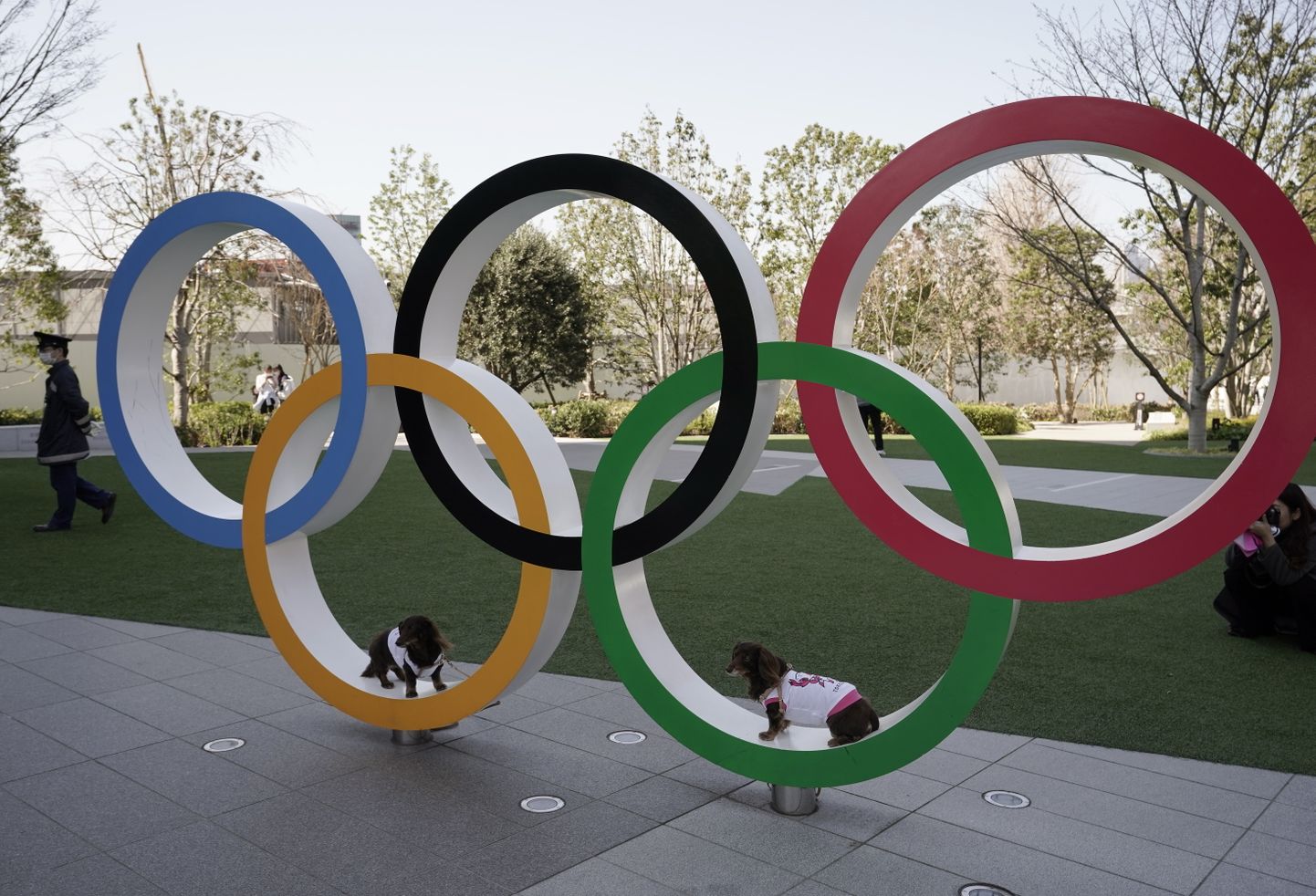 Olimpiskie apļi (ilustratīvs attēls)