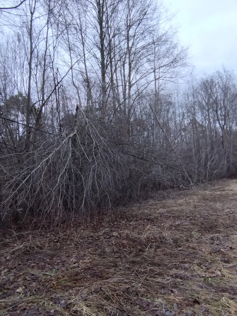 Raineri tehtud fotol on liinilune Kärlal. Sama olukord valitseb seal juba teist kuud.