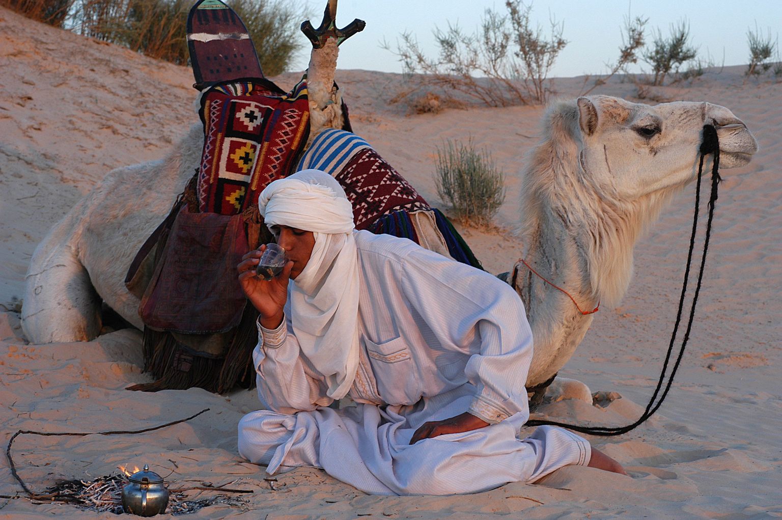 Beduiin oma kaameliga kõrbes