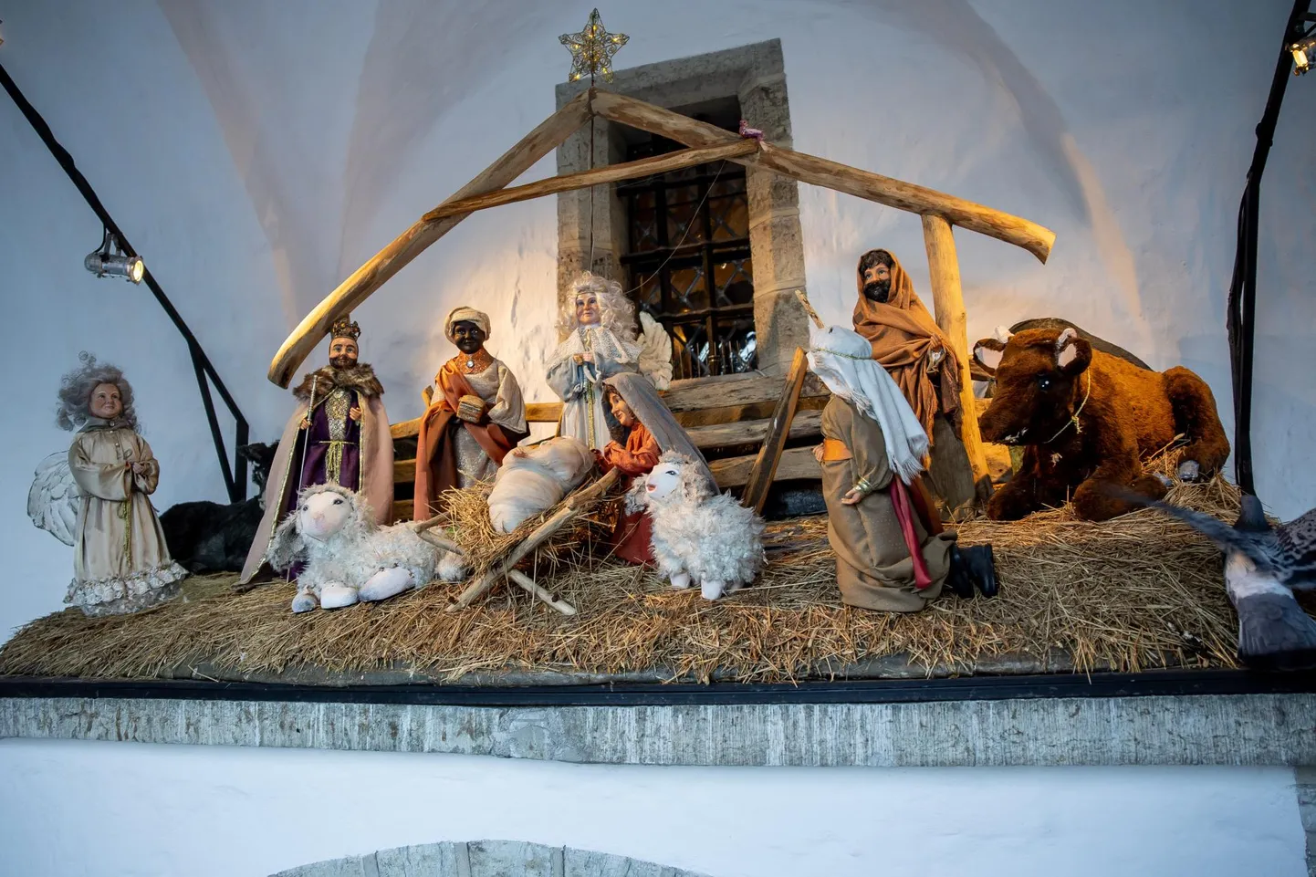 Keskajal said tarkadest kuningad ning neile jagati võimupiirkonnad. Balthasar ja Melchior kuulutati Euroopa ja Aasia valitsejateks, aga noorim, Caspar, sai oma eestkoste alla Aafrika. Teda on kunstis kujutatud ka mustanahalisena. Jõulusõim Tallinna raekoja platsil 30. jaanuaril 2024.