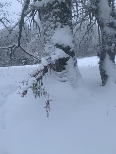 Eestimaa kagunurgas on lund poole meetri jagu, mullu õitsesid sel ajal juba sinililled.
