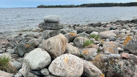 Virumaal visati naabrit läbi akna kiviga pähe
