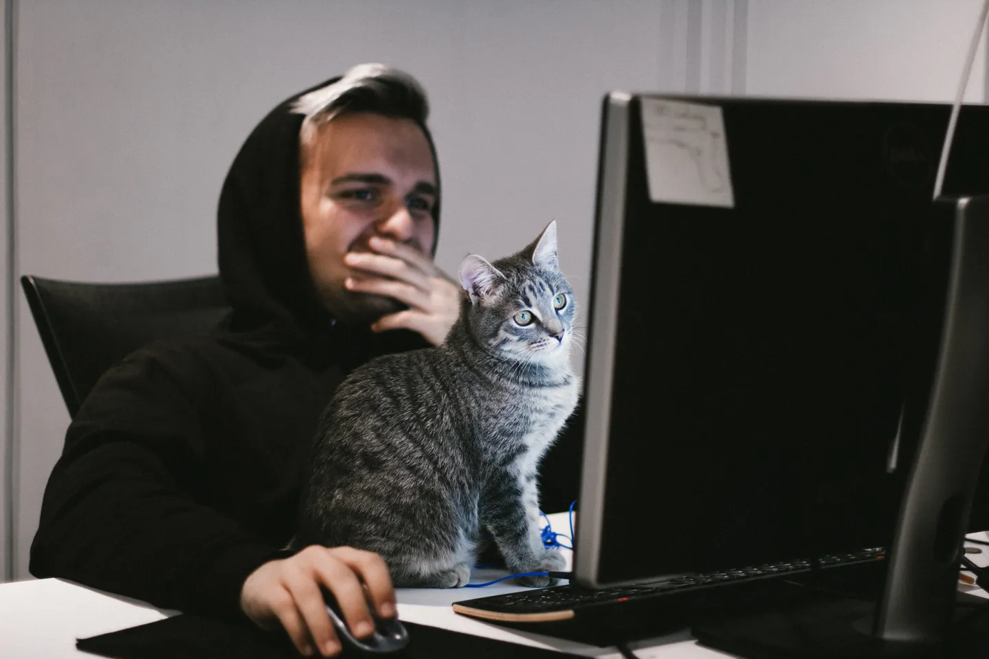 Raksta foto