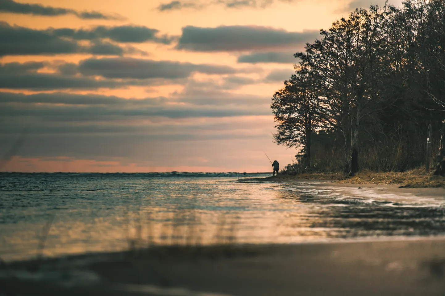 Foto: Saulains rīts Rītabuļļos
