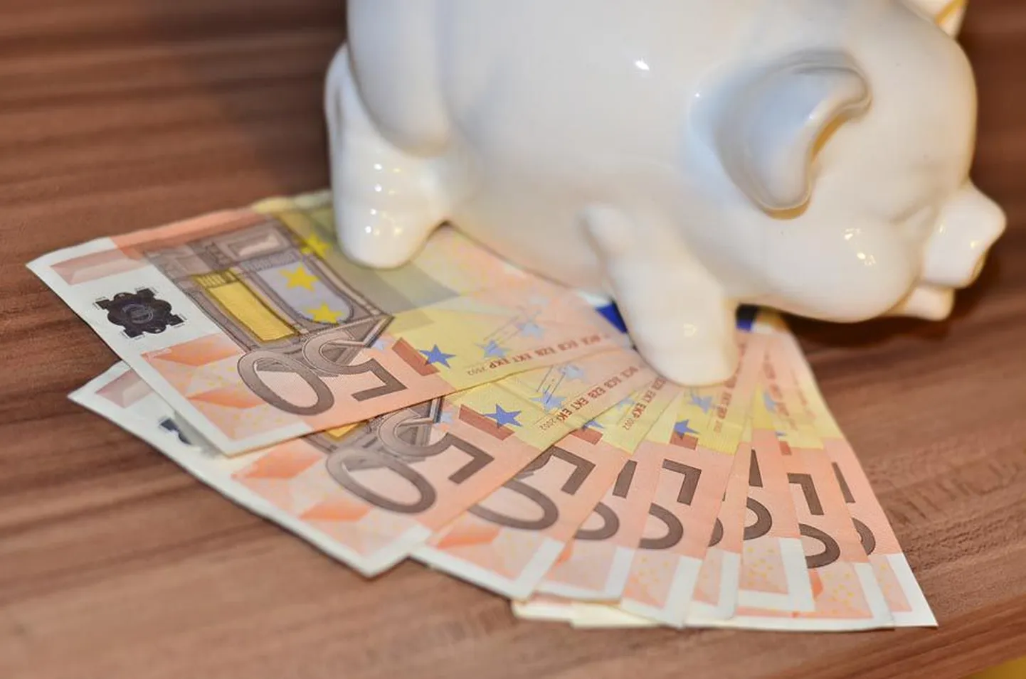 Iga euro loeb. Järgmise aasta eelarve suuruseks sai 8,9 miljardit eurot.