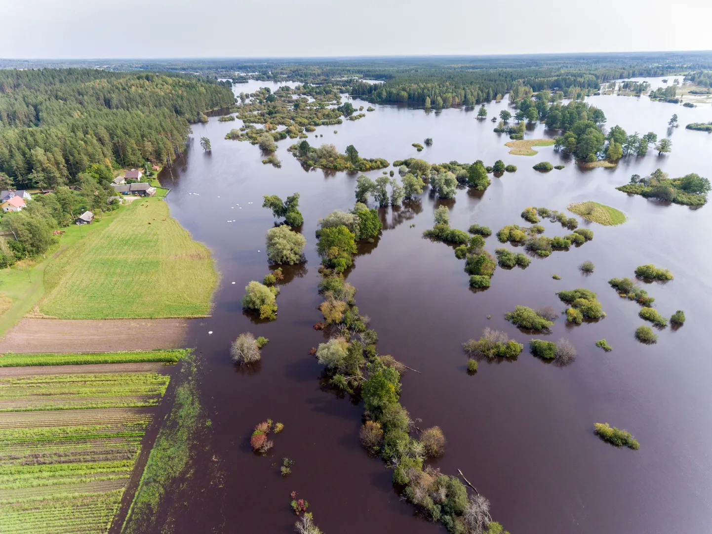 Mustjõgi eelmisel nädalal
