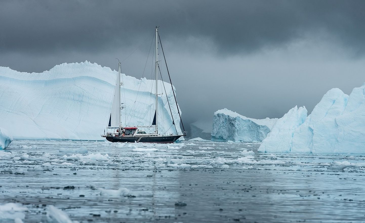 "Адмирал Беллинсгаузен" среди айсбергов.