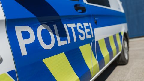 Saaremaal asuvast riigimetsast varastati kuuse- ja männipalke