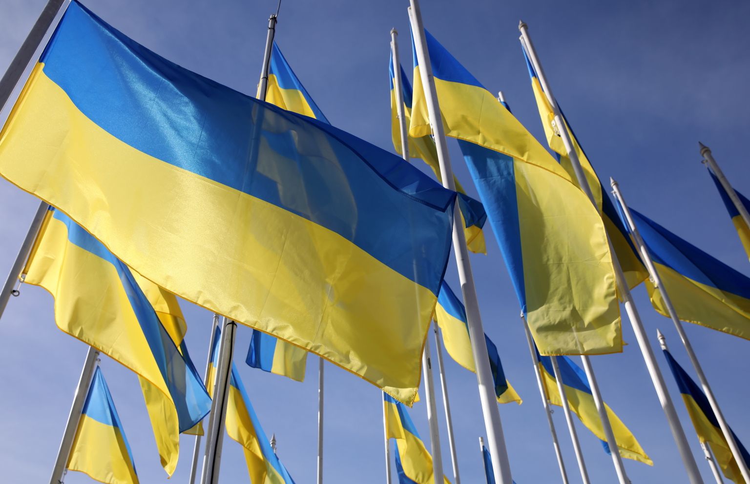 Ukrainas karogi.