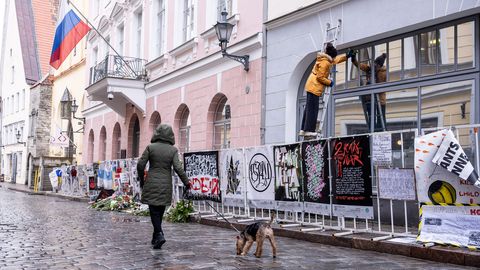 Фото ⟩ Посольство России в Таллинне намывает окна перед выборами Путина