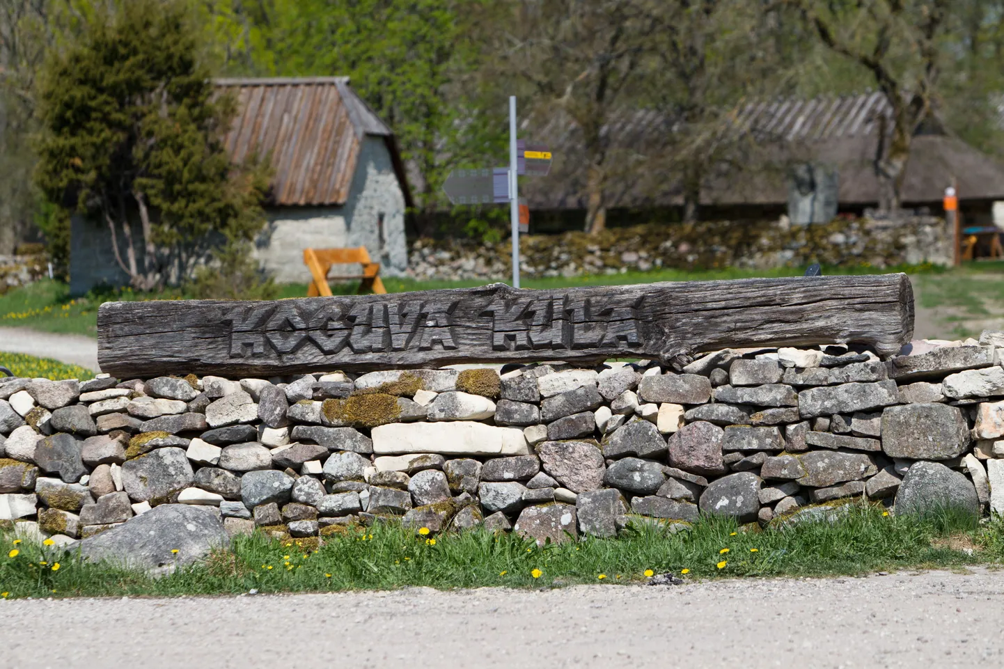 Koguva küla