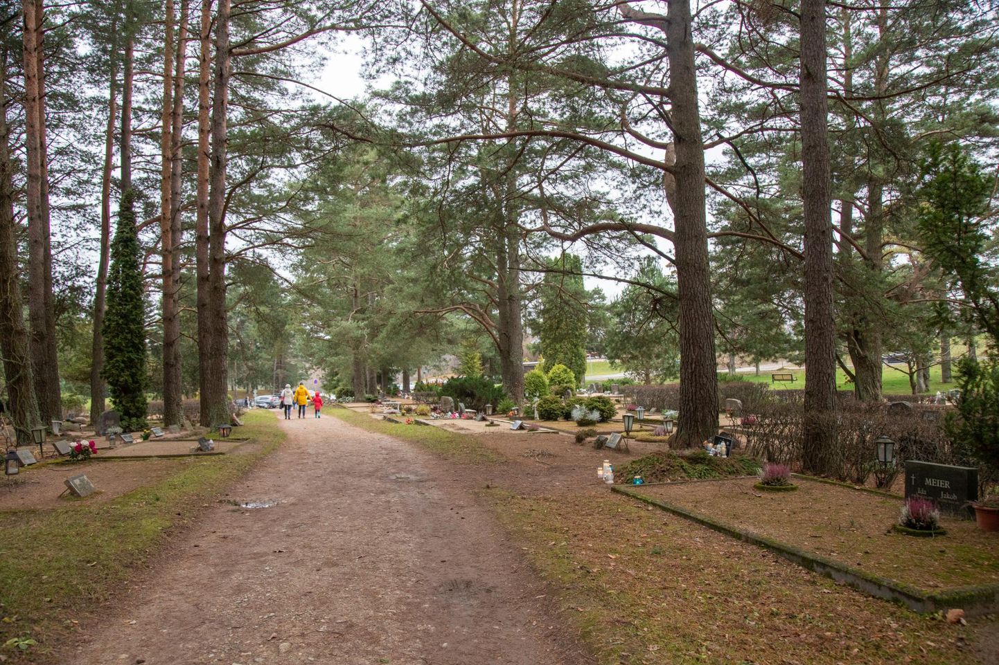 Kalmistute puude hooldamine lükatakse majanduslikel kaalutlustel praegu edasi.