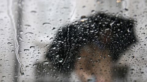 Teisipäeva ilm Eestis: kuni 12 kraadi sooja ja hoovihma