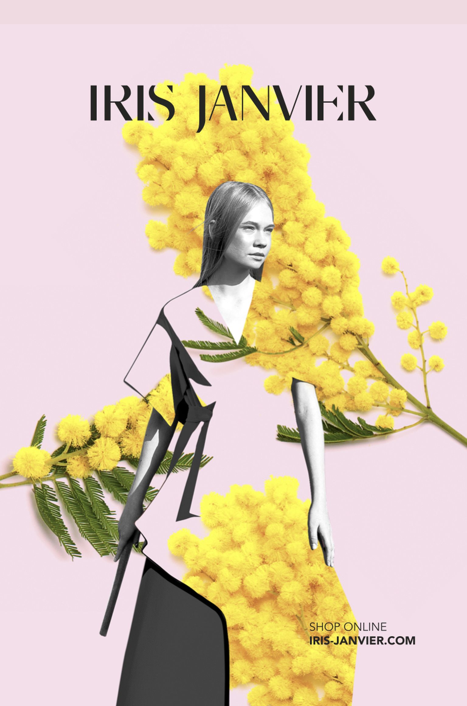Iris Janvier.