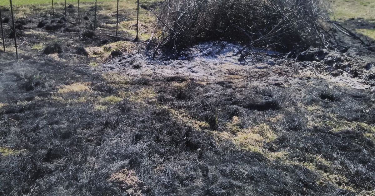 Hooletust lõkkepõletamisest süttis kulu