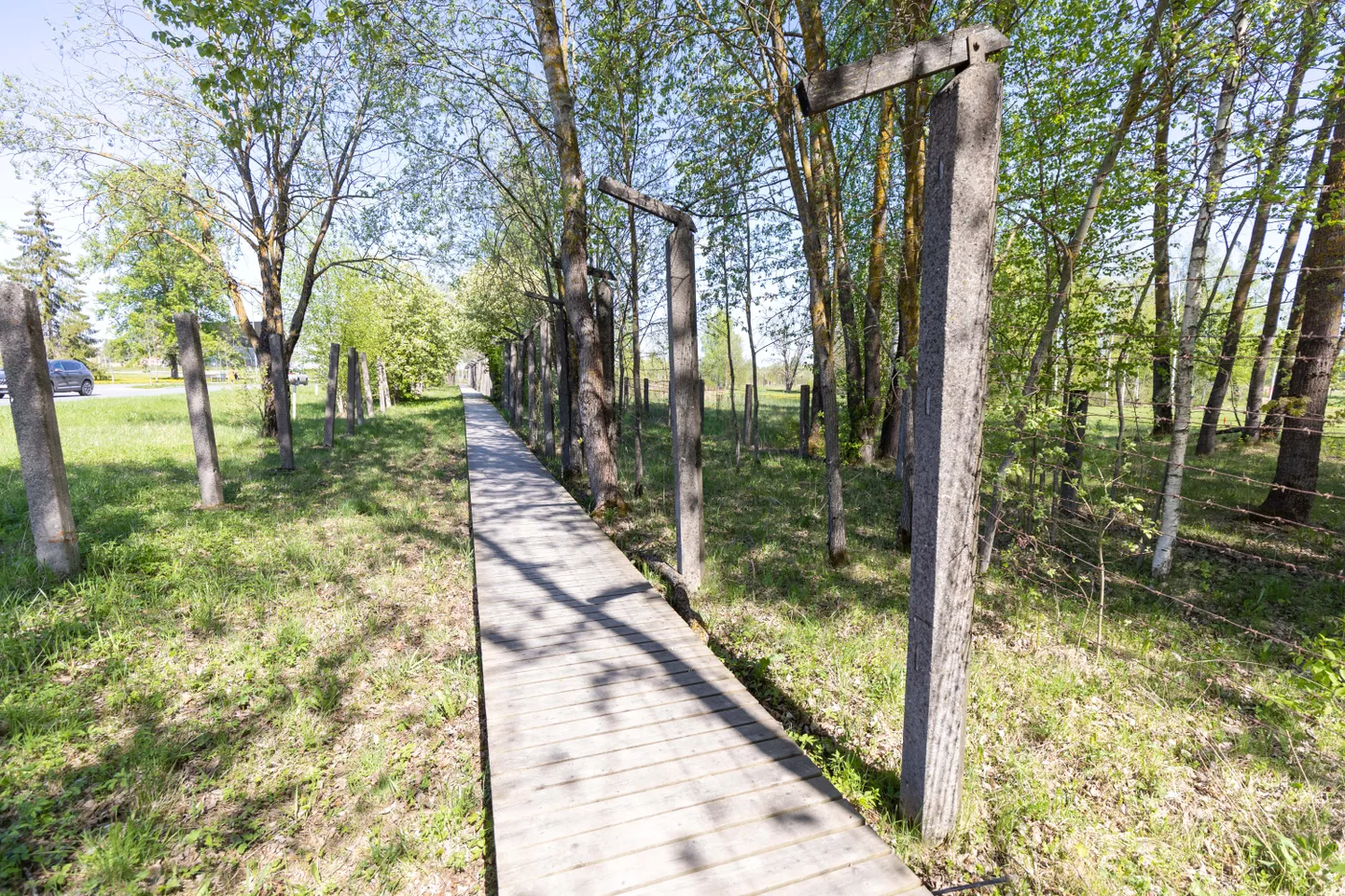 Okastraatidega ääristatud laudtee on osa Eesti Rahva Muuseumisse viivast Roosi promenaadist.