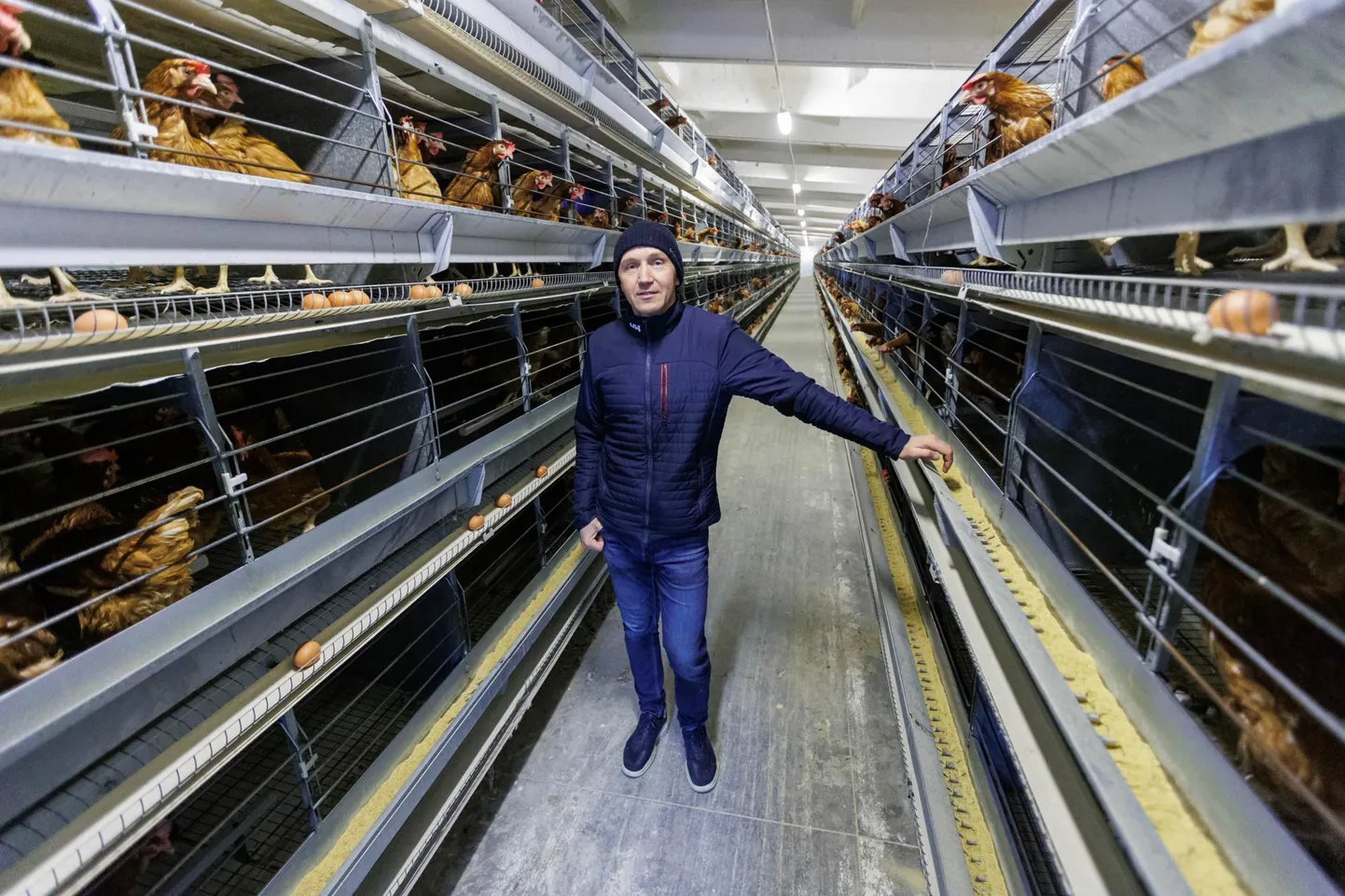 Linnu Talu OÜ ärijuht Jarno Hermet kanalas