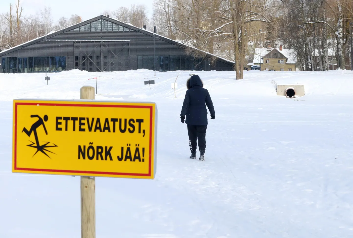 Üle jõe on sisse tallatud rada lodjakoja juures ehk mõnisada meetrit eemal kavandatava silla asukohast.