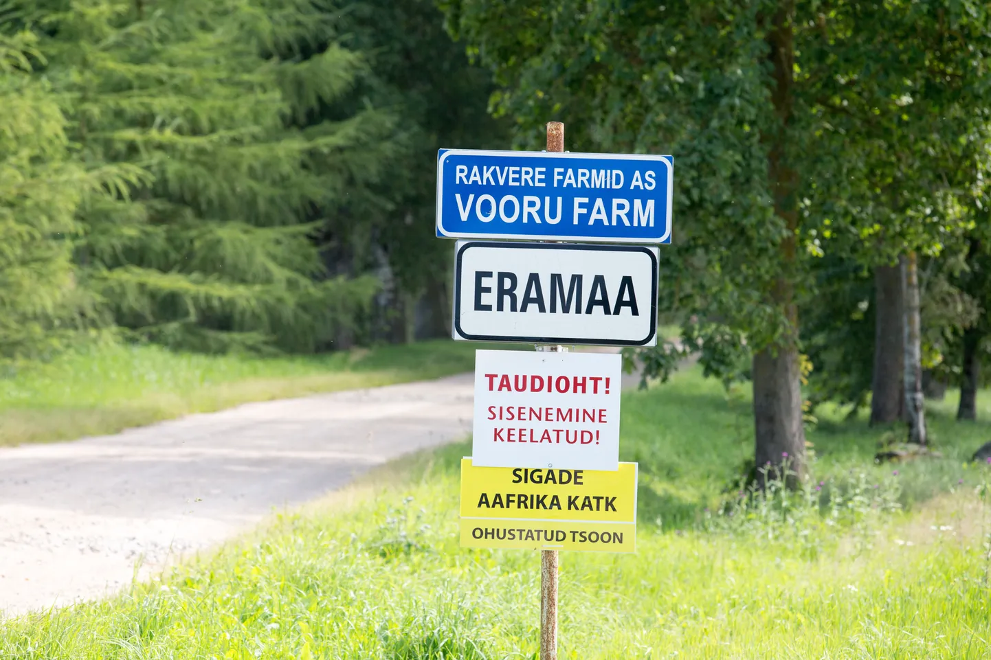 Vooru farm.