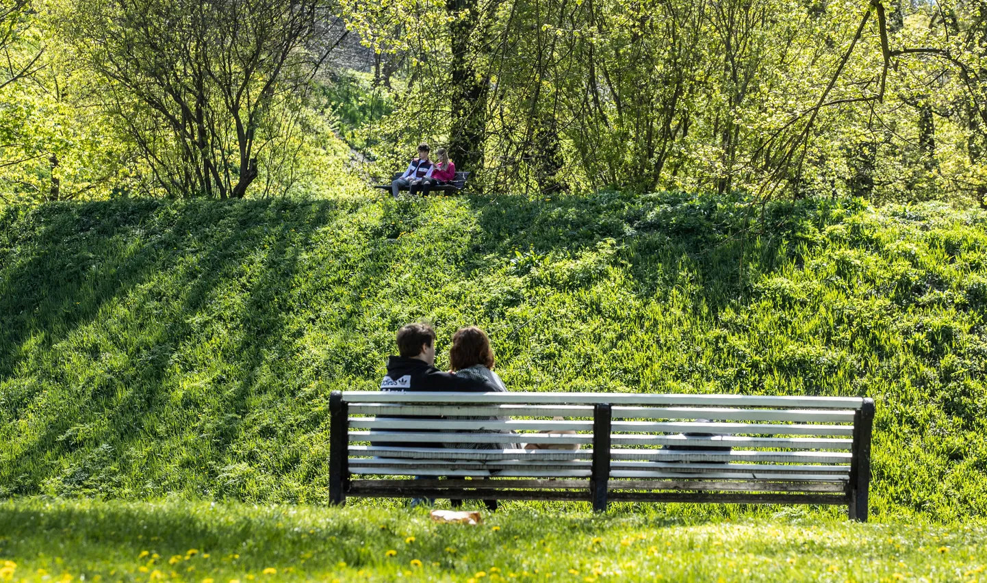 Soe kevadilm Tallinnas. Pilt illustreerib artiklit.