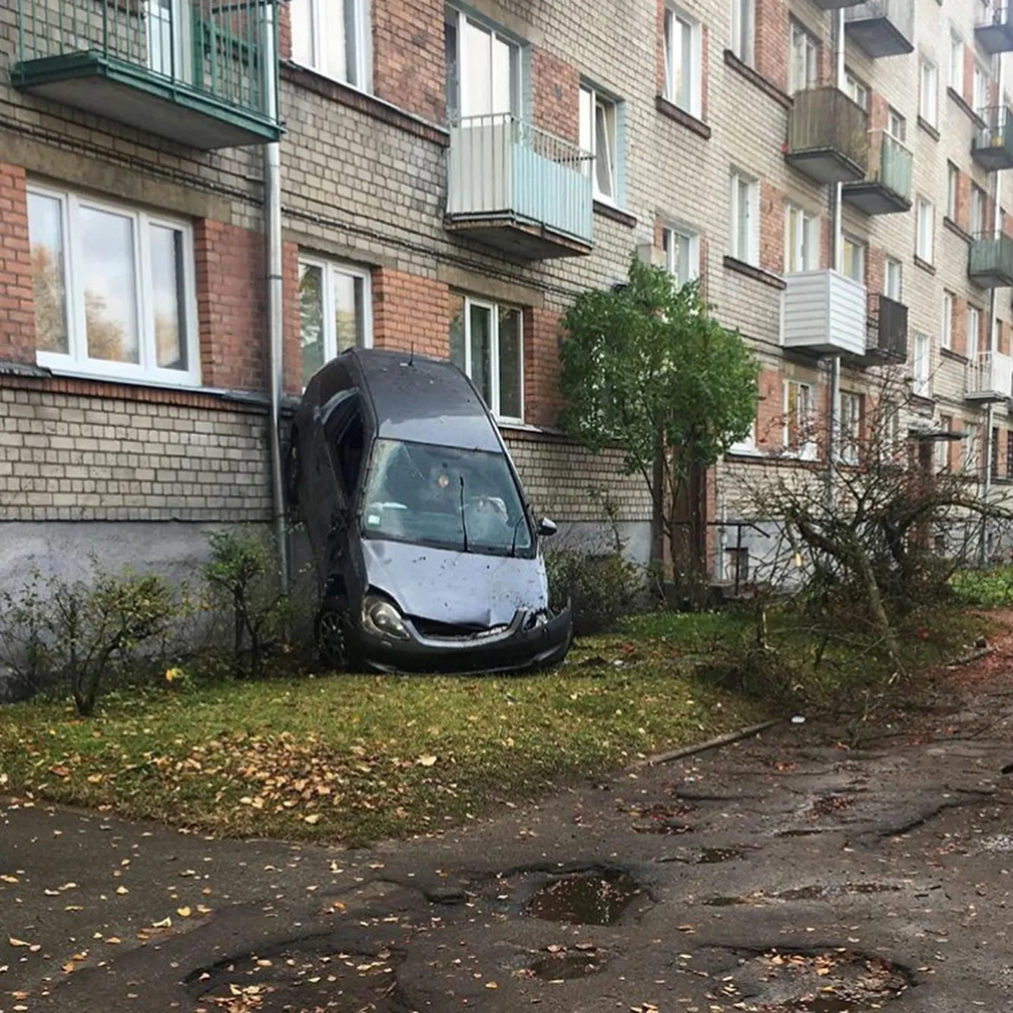 Фото статьи