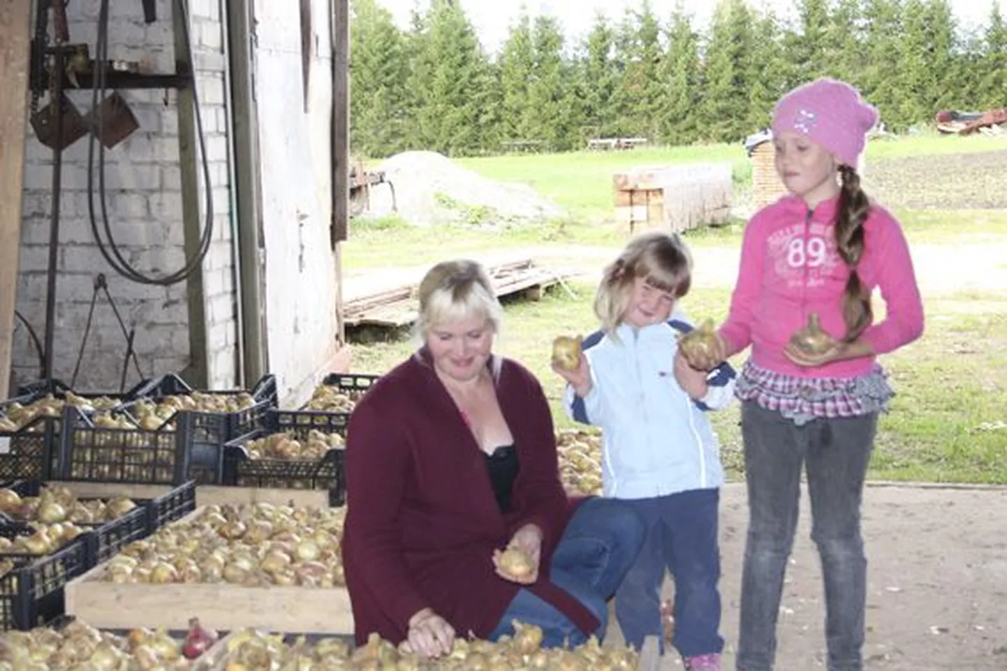 Kaire Kiisk koos laste Aveli ja Mariliga näitamas tänavust sibulasaaki.