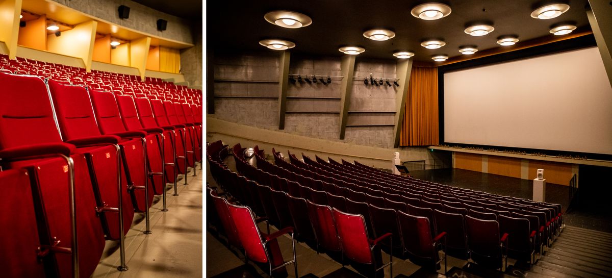 Kui enamik 30ndatel ehitatud Soome kinosid on muudetud jõusaalideks või poodideks, siis Lasipalatsis asuv Bio Rex näitab nüüd taas populaarseid art house’i filme.