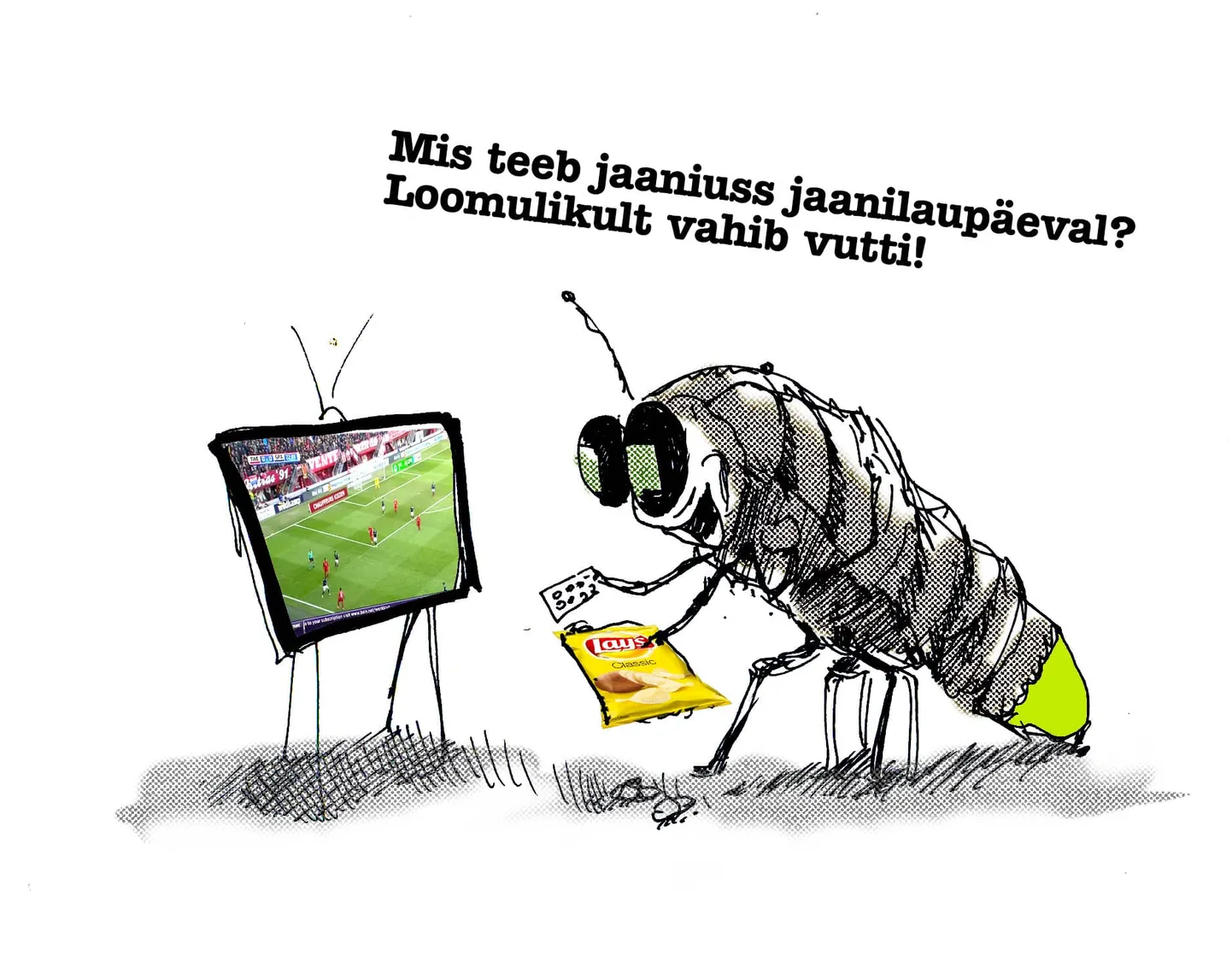 Mis teeb jaaniuss jaanilaupäeval?