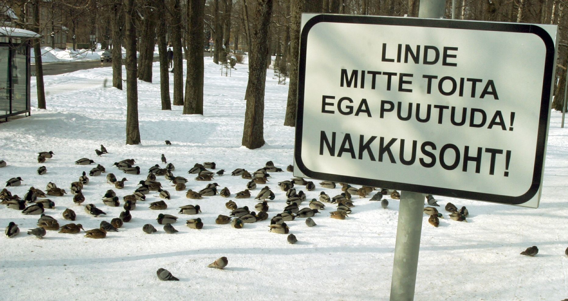 Infotahvlid.