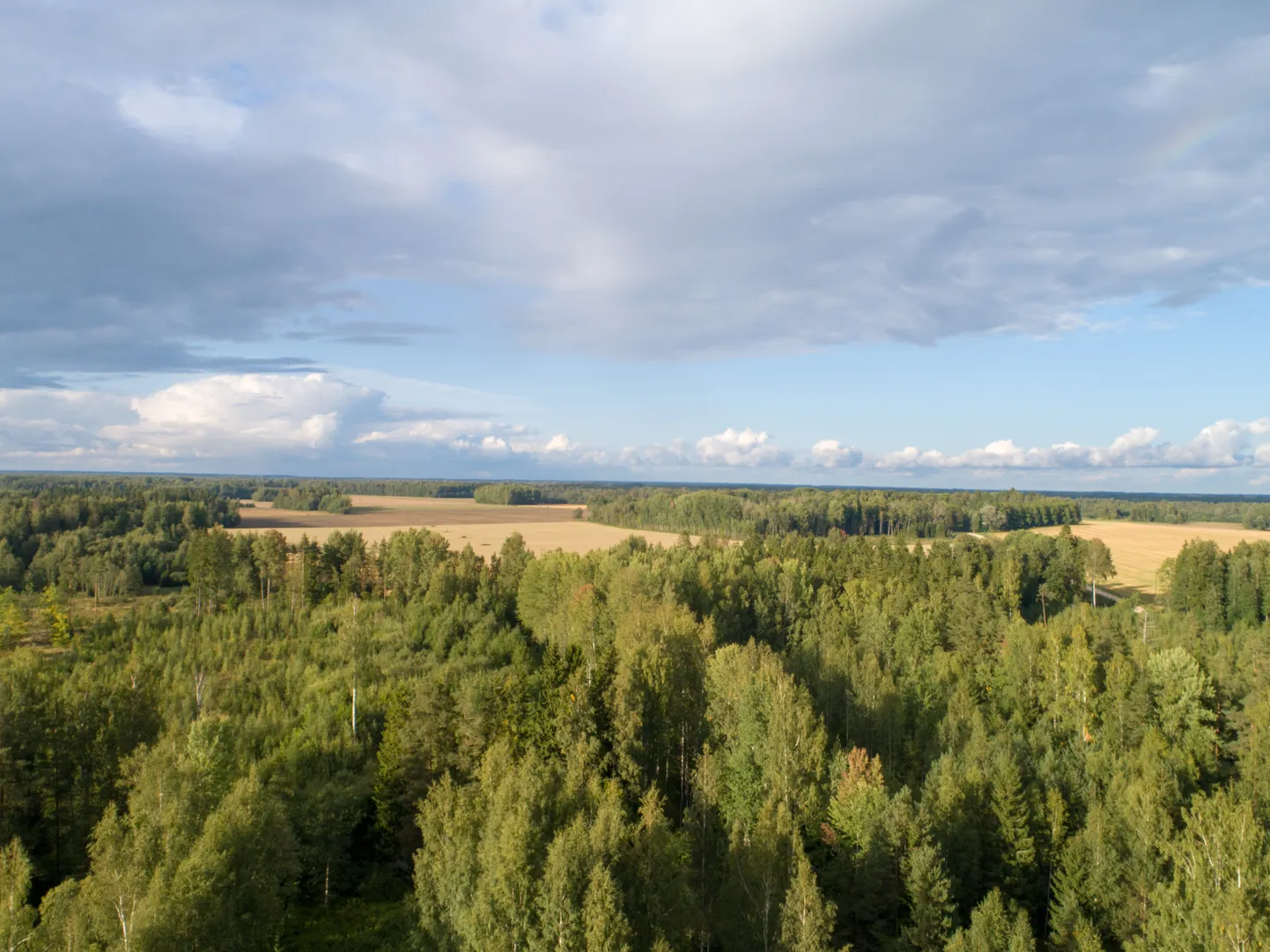 Eesti loodus.