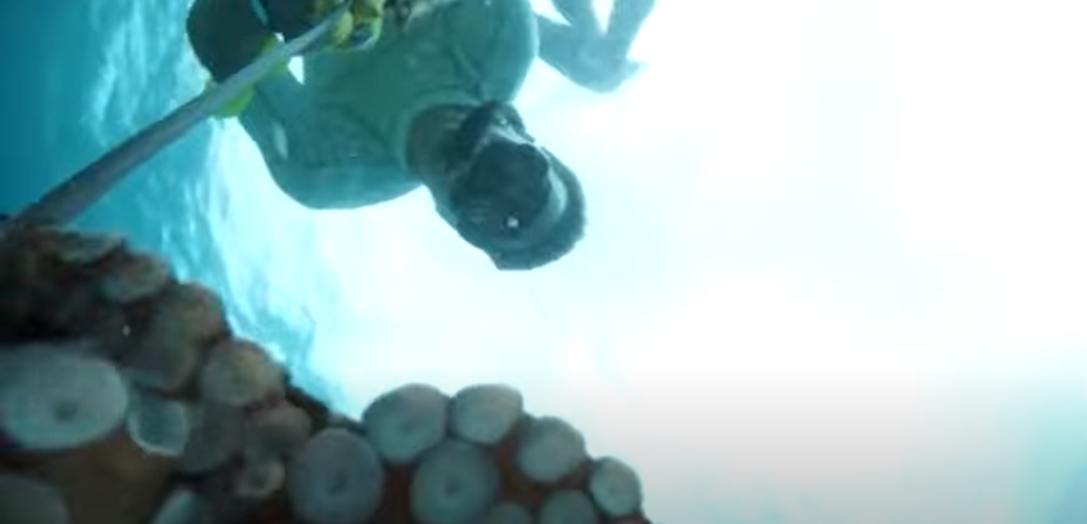 Sukeldaja saab tänu kaheksajalale vaadata, milline ta vee all välja näeb