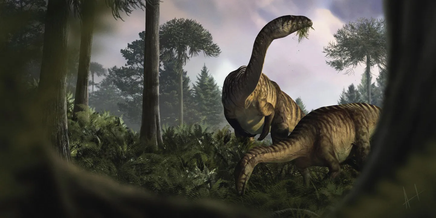 Illustratsioon varase juuraajastu dinosaurustest. Neil loomadel pole Austraaliast leitud jalajälgedega mingit pistmist.