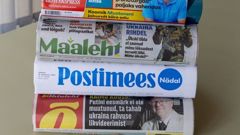 Estonian AI Needs Access to Estonian Texts for Development, Says Institute Director
