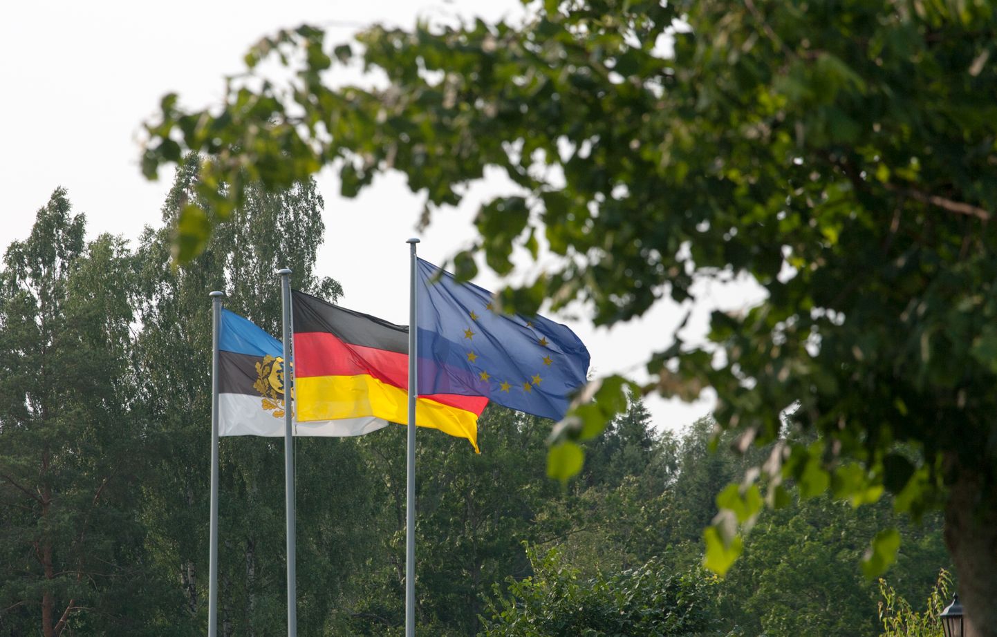 Eesti ja Saksamaa lipud.