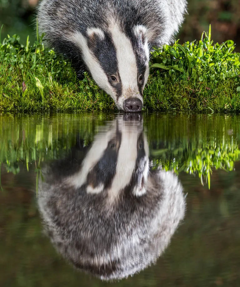 Clive Mowforth/Caters News/Scanpix